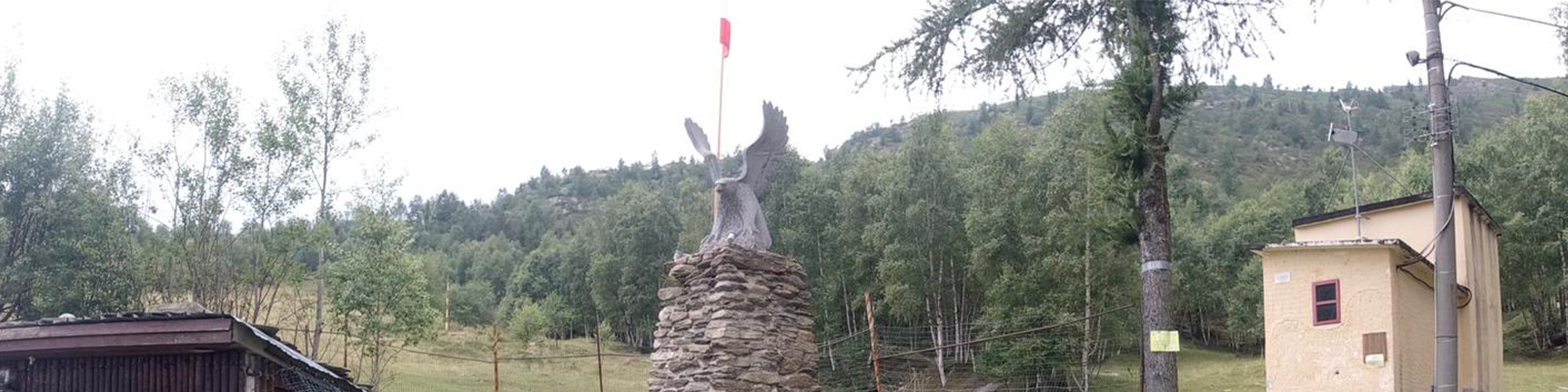 Aquila di Giaveno 2020