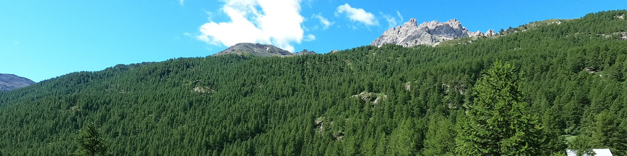Colle della Scala, Nevache, Monginevro 2021