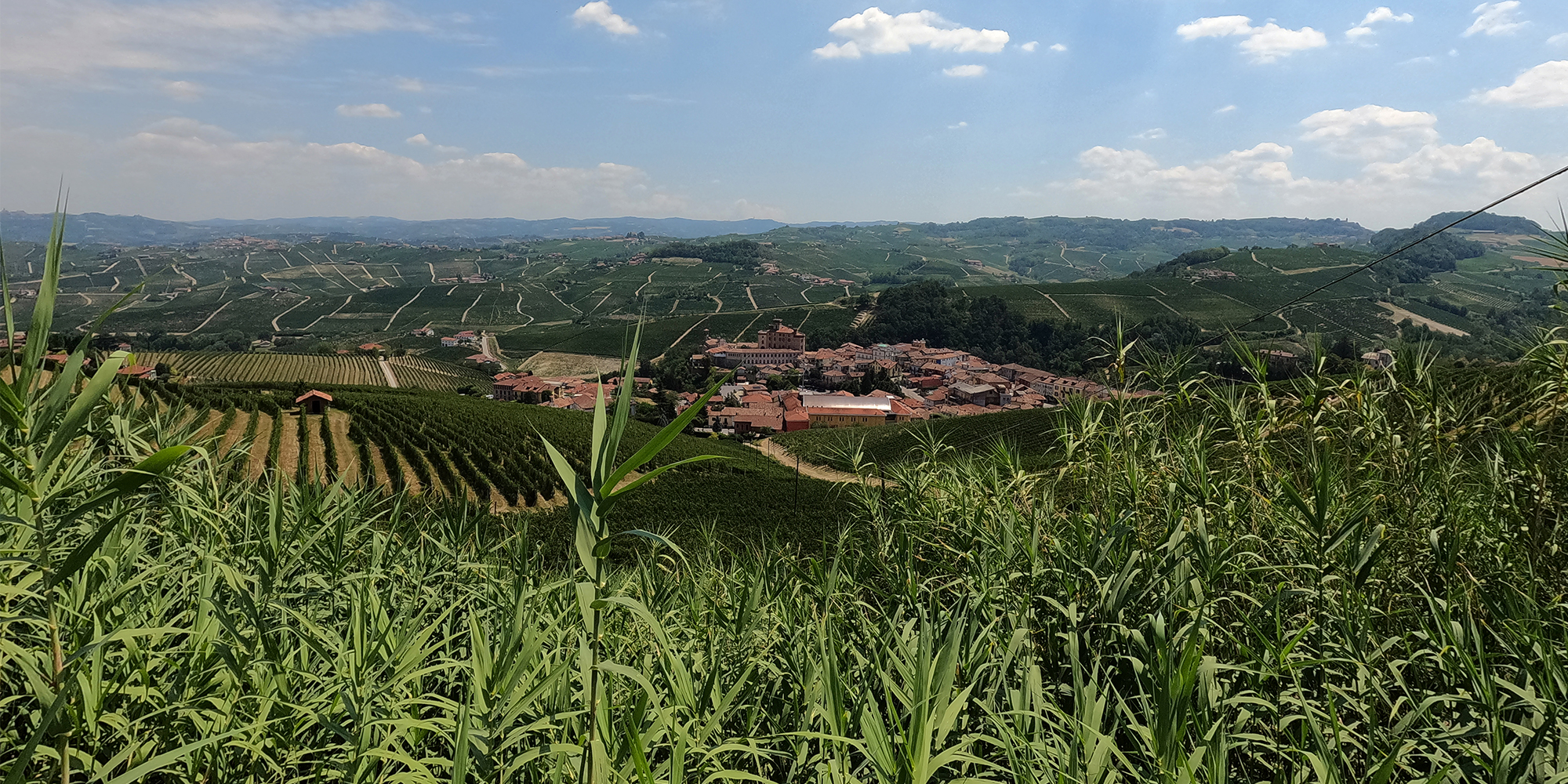 un accenno di Langhe 2022