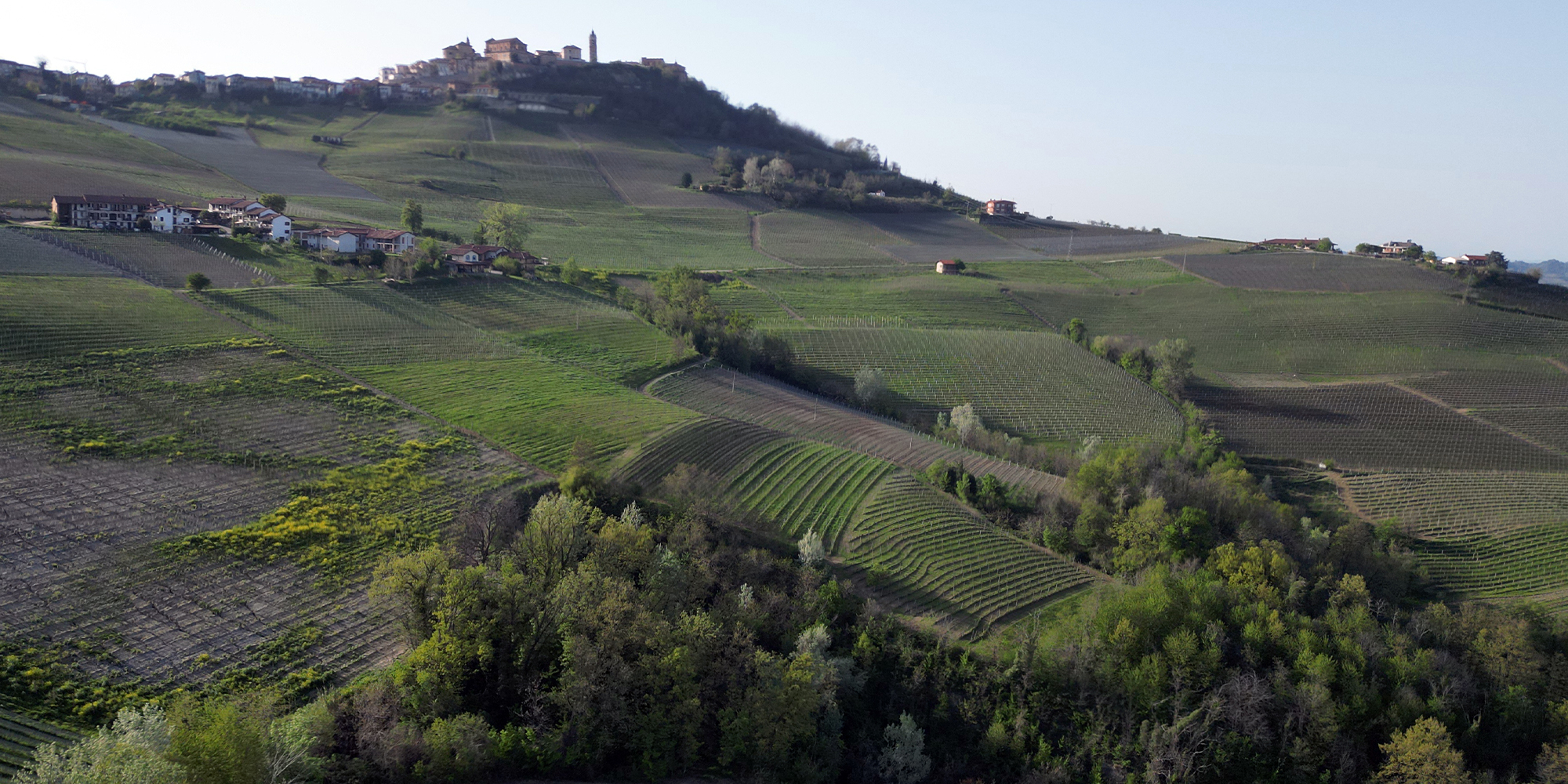 Langhe 2024
